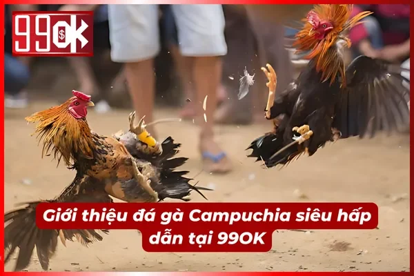 Tìm hiểu sức nóng của đá gà Campuchia