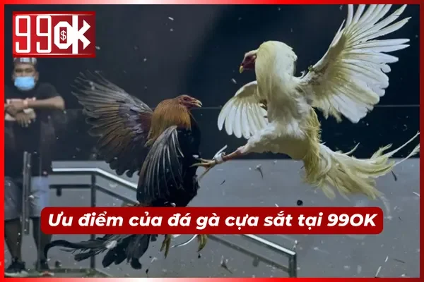 Điểm mặt một số ưu điểm vượt trội tại 99OK