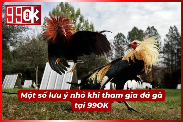 Cần chú ý để tránh mắc phải những sai lầm